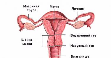 Se la cervice è piegata, è possibile rimanere incinta?