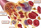 गर्भावस्था के दौरान लाल रक्त कोशिकाएं कम होती हैं: कारण और उपचार रक्त के थक्के कारक और अवरोधक
