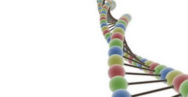 A DNS-elemzés meghamisítható Ha a DNS-teszt hamis, mit kell tenni